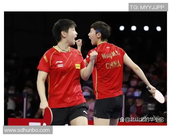 乒乓球技术排名揭晓北京乒乓球队荣获第三名成就辉煌